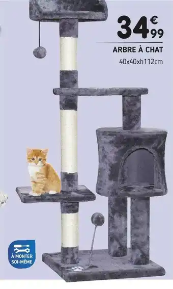 Arbre à chat