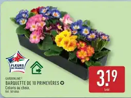 ALDI BARQUETTE DE 10 PRIMEVÈRES offre