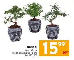 Trafic Bonsai offre