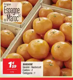 Netto Mandarine offre