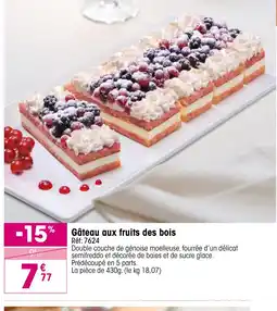 Croque Gel Gâteau aux fruits des bois offre