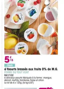 Croque Gel 6 Yaourts brassés aux fruits 0% de M.G offre
