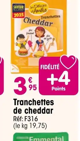 Croque Gel Tranchettes de cheddar offre