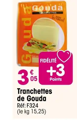 Croque Gel Tranchettes de Gouda offre