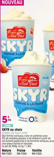Croque Gel Skyr au choix offre