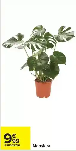 Carrefour Drive Le monstera offre