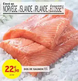 Intermarché Dos de saumon offre