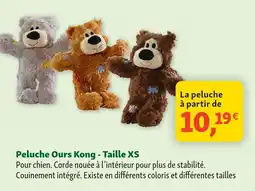 Maxi Zoo Kong peluche ours offre