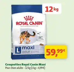 Maxi Zoo Royal canin croquettes maxi offre