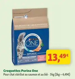 Maxi Zoo Purina one croquettes offre
