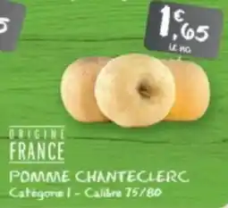 G20 Pomme chanteclerc offre