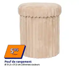 Action Pouf de rangement offre