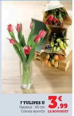 Hyper U U - tulipes offre