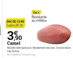 Espace emeraude Camel offre