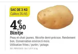 Espace emeraude Bintje offre