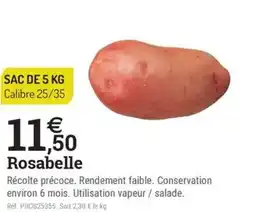 Espace emeraude Rosabelle offre