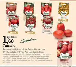 Espace emeraude Tomate offre