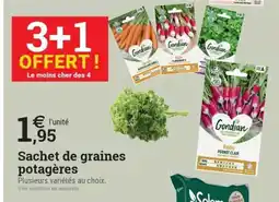 Espace emeraude Sachet de graines potagères offre