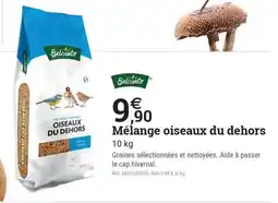 Espace emeraude BELCANTO Mélange oiseaux du dehors offre