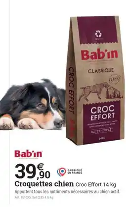 Espace emeraude BABIN Croquettes chien Croc Effort offre