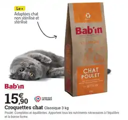 Espace emeraude BABIN Croquettes chat Classique offre