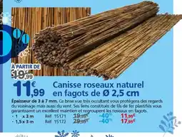 Provence Outillage Canisse roseaux naturel en fagots offre