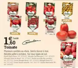 Espace emeraude Gondian - tomate offre