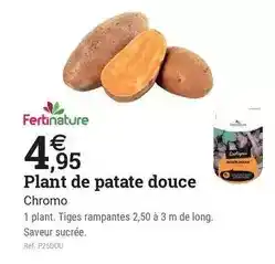 Espace emeraude Fertinature - plant de patate douce offre