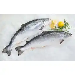 Carrefour Saumon atlantique entier filiere qualite carrefour asc offre