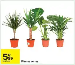 Carrefour Plantes Vertes offre
