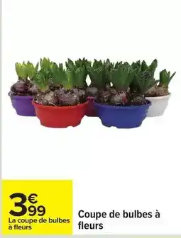 Carrefour Drive Coupe de bulbes à fleurs offre