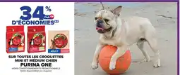 Carrefour PURINA ONE Sur toutes les croquettes mini et médium chien purina one offre