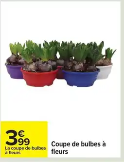 Carrefour Coupe de bulbes à fleurs offre