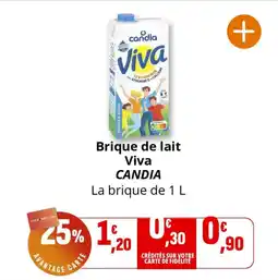 Coccinelle Express Brique de lait viva candia offre
