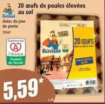 Norma Bureland - 20 œufs de poules élevées au sol offre