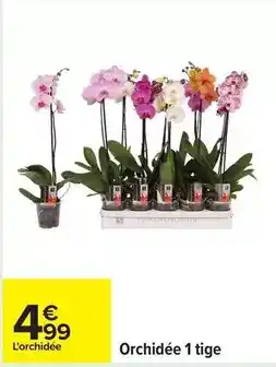 Carrefour Orchidée 1 tige offre