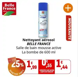 Coccinelle Express Nettoyant aérosol belle france offre