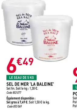 RAGT Jardin & Maison LA BALEINE Sel de mer offre