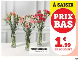 Hyper U 7 mini ceillets offre