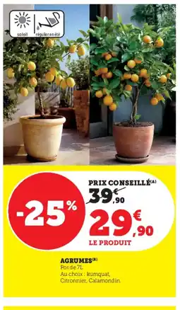 Hyper U Agrumes offre