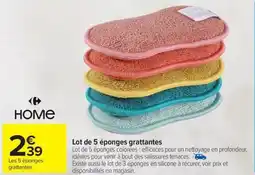 Carrefour Lot de 5 éponges grattantes offre