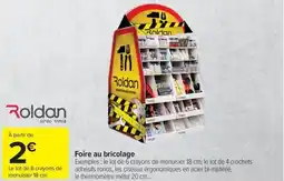 Carrefour ROLDAN Foire au bricolage offre