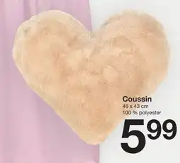 Zeeman Coussin offre