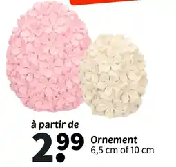 Wibra Ornement offre