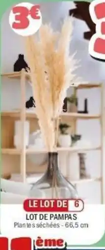 La Foir'Fouille Lot de pampas offre