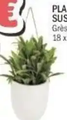 La Foir'Fouille Plante artificielle suspendue offre