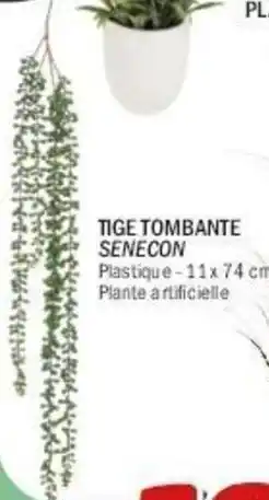 La Foir'Fouille Tige tombante senecon offre