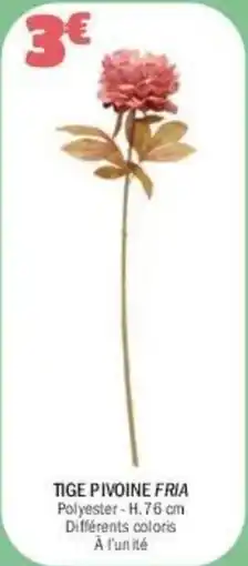 La Foir'Fouille Tige pivoine fria offre