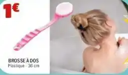 La Foir'Fouille Brosse à dos offre