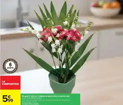 Carrefour Teisseire - sirop offre